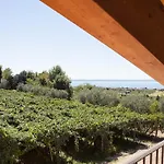 Il Grappolo Lazise