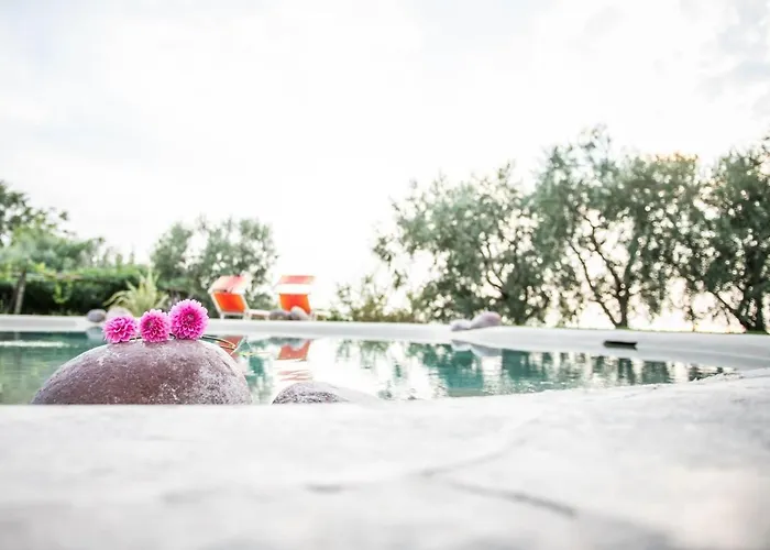 Farm stay Agriturismo Il Grappolo Lazise