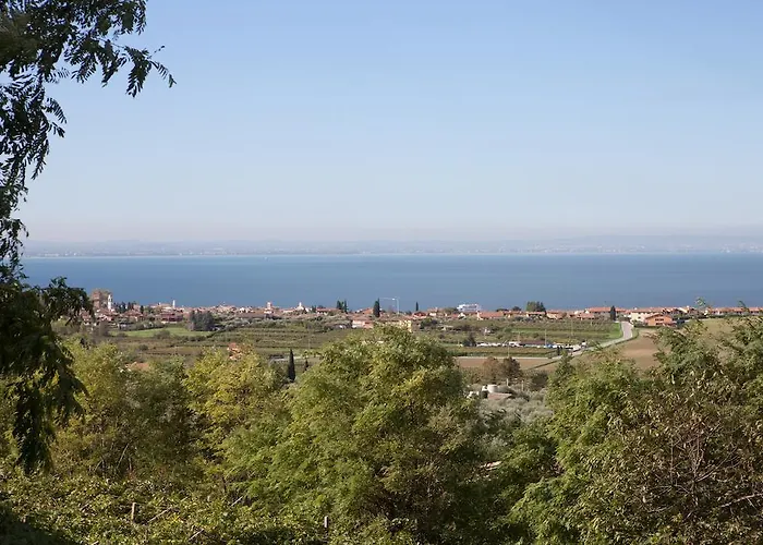 Agriturismo Il Grappolo Farm stay Lazise